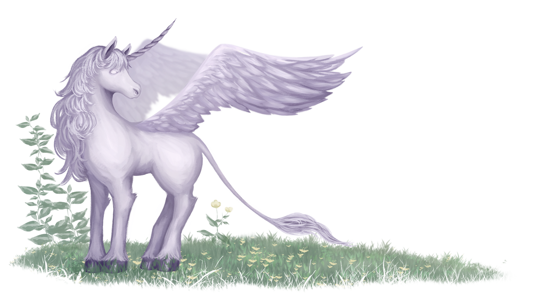 Nyveras Unicorn